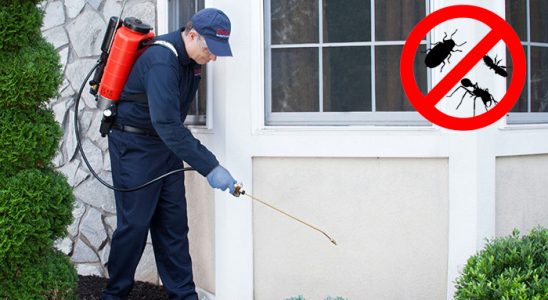 Gölcük Gümüşkurt İlaçlama böcek ilaçlama ve haşere kontrolü — ilaclama-tr.com